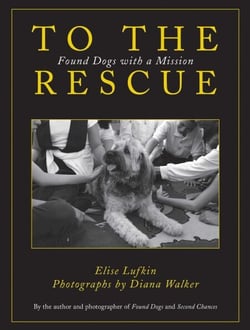 To the Rescue - Found Dogs with a Mission