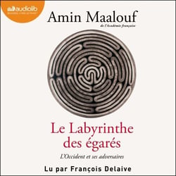 Le Labyrinthe des égarés - L'Occident et ses adversaires