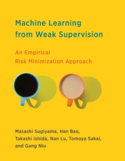 Machine Learning from Weak Supervision - An Empirical Risk Minimization Approach