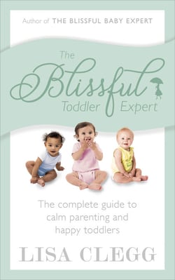 The Blissful Toddler Expert - The complete guide to calm parenting and happy toddlers