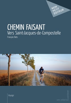 Chemin faisant - Vers Saint-Jacques-de-Compostelle