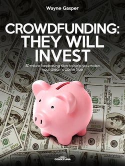 Crowdfunding: They Will Invest - 50 micro fundraising sites to help you make your dreams come true