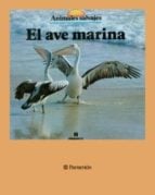 El ave marina