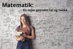 Matematik: - En rejse gennem tal og tanke