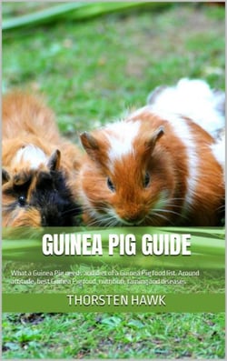 Guinea Pig Guide - Around attitude, food, nutrition, taming and diseases