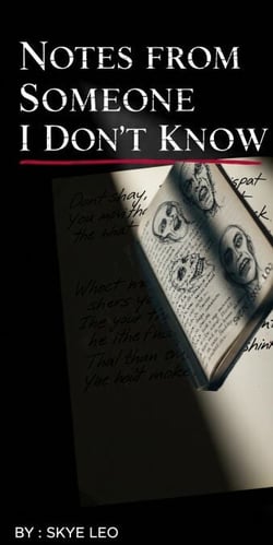 Notes from Someone I Don’t Know - Stranger's Diary