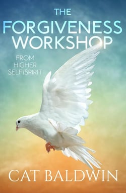 The Forgiveness Workshop from Higher Self/Spirit