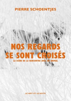 Nos regards se sont croisés - La scène de la rencontre avec un animal