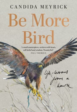 Be More Bird - Life Lessons from a Hawk