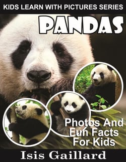 Pandas Photos and Fun Facts for Kids - Kids Learn With Pictures, #13