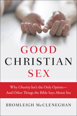 Good Christian Sex - Why Chastity Isn't the Only Option-And Other Things the Bible Says About Sex