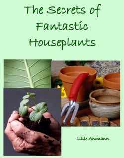The Secrets of Fantastic Houseplants