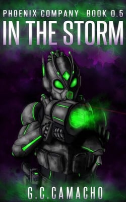 In The Storm - Phoenix Company, #0.5