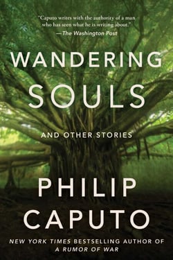Wandering Souls - And Other Stories