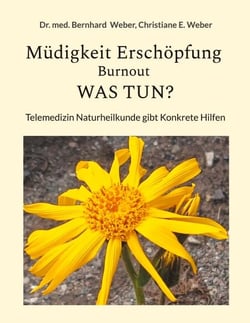 Müdigkeit Erschöpfung Burnout was tun? - Telemedizin Naturheilkunde Gibt Konkrete Hilfe