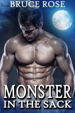 Monster In The Sack - A Fairview Story, #3