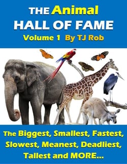 The Animal Hall of Fame - Volume 1 - Animal Feats and Records