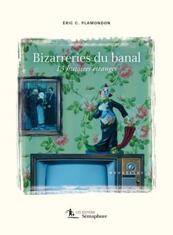 Bizarreries du banal - 13 histoires étranges