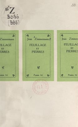 Feuillage et pierres