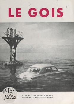 Le Gois - Étude de géographie historique