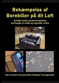 Bekæmpelse af Borebiller på dit Loft - Synlige insekt og skimmelskader forårsaget af milde og regnvåde vintre.