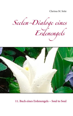 Seelen-Dialoge eines Erdenengels - 11. Buch eines Erdenengels - Soul to Soul