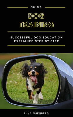 Dog Training - Successful Dog Education Explained Step By Step (Guide For Dog Education And Training)
