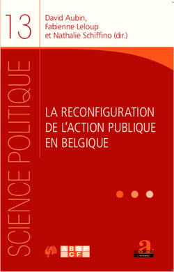 La reconfiguration de l'action publique en Belgique
