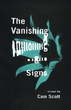 The Vanishing Signs - Essays