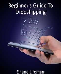 Beginner's Guide To Dropshipping - How To Make Money Online