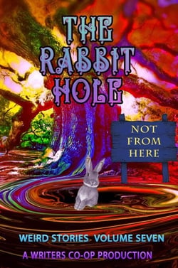 The Rabbit Hole VII: Not From Here - The Rabbit Hole, #7