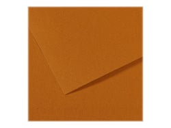 Feuille MI-TEINTES® Canson - 50 x 65 cm - 160g/m² - havane clair