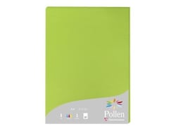 1 étui de 25 feuilles Pollen 210x297 mm 210g - Vert menthe