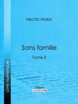 Sans famille - Tome II