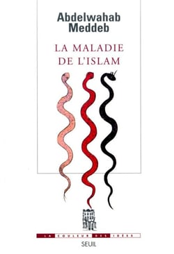 La Maladie de l'islam