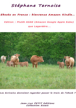 Ebooks en France : bienvenue Amazon Kindle ; Edition : Plutôt AGAK (Amazon Google Apple Kobo) que Lagardère - Les écrivains devraient regarder passer le train de l'ebook ?