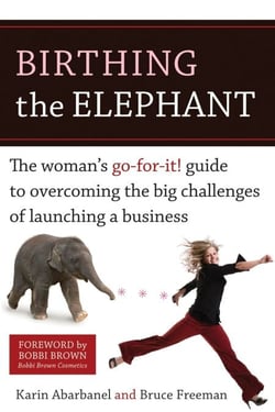 Birthing the Elephant - The Woman's Go-For-It! Guide to Overcoming the Big Challenges of Launching a Business