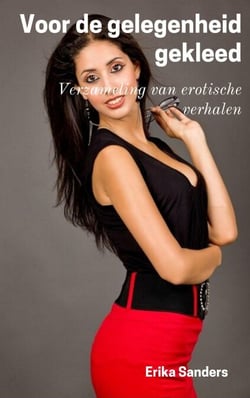 Voor de Gelegenheid Gekleed - Verzameling van erotische verhalen, #3
