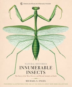 Innumerable Insects - The Story of the Most Diverse and Myriad Animals on Earth