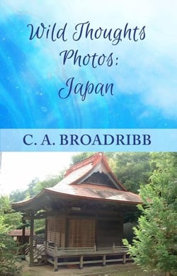 Wild Thoughts Photos:  Japan - Wild Thoughts Photos, #2