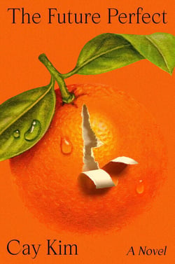 The Future Perfect - A Novel