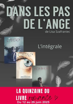 Dans les pas de l'ange - L'intégrale