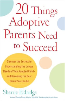20 Things Adoptive Parents Need to Succeed - Discover the Secrets to Understanding the Unique Needs of Your Adopted Child-andBecoming the Best Parent You Can Be