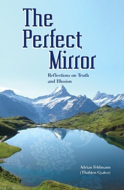 The Perfect Mirror: Reflections on Truth and Illusion