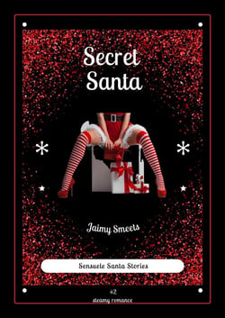 Secret Santa - Sensuele Santa Stories, #2