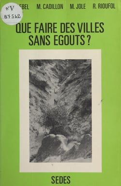 Que faire des villes sans égouts ? - Pour une alternative à la doctrine et aux politiques d'assainissement urbain