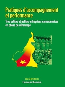 Pratiques d'accompagnement et performance - Très petites et petites entreprises camerounaises en phase de démarrage