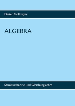 Algebra - Strukturtheorie und Gleichungslehre