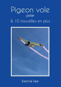 Pigeon vole - 10 nouvelles en plus