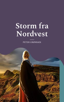Storm fra Nordvest - Roman